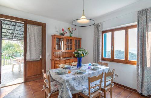 Simona Panorama - Photo 13