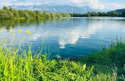 BerglerNest - Apartment mit Bergblick! - Foto 30