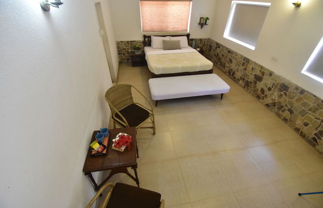 The Lighthouse - Photo 22