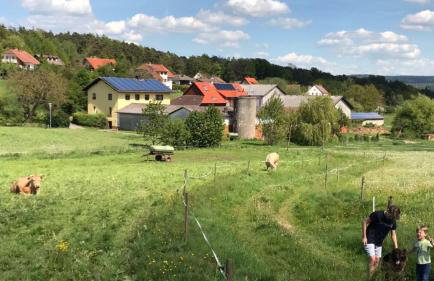 Ferienwohnungen Elsbacher Hof - Foto 3