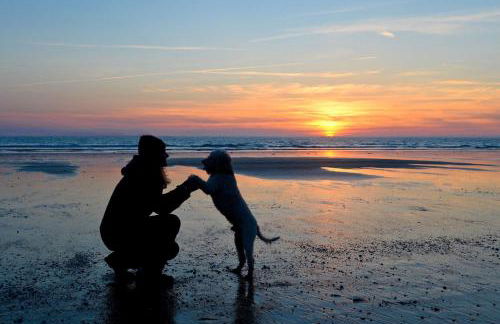 Ferienreihenhaus "Langeoog" Lale Andersen 2d Galerie "Langeoog" - Foto 28