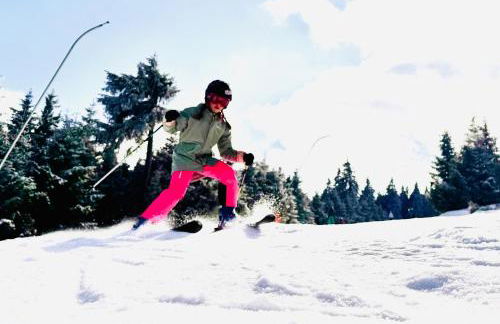 Ellis-Ferienwohnung-Erzgebirge - Foto 10