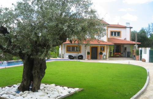 Quinta do Guerra - Foto 33