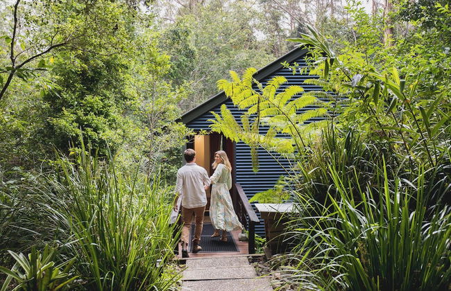 Kondalilla Eco Resort - Photo 29