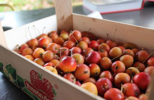 Aritza Apartamentos Turísticos Rurales - Foto 60