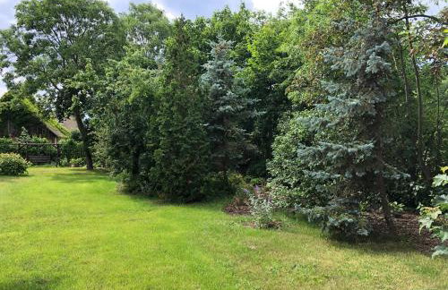 Domek całoroczny blisko lasu i morza na urokliwej działce 4300 m2 - Photo 11