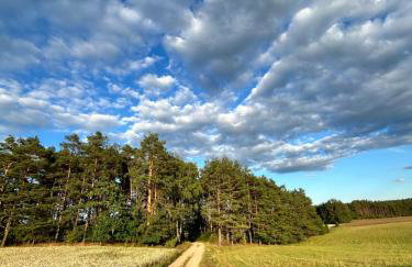 Domek lubiana180 WABI SABI w lesie jacuzzi sauna kominek - drewno w cenie pobytu - nad jeziorem Kaszuby pieski tylko do 10kg za dodatkową opłatą - Foto 74