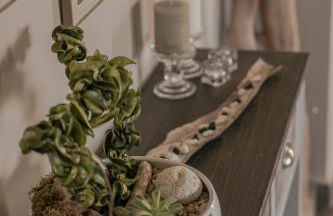 Queen Bee Residence - Photo 106