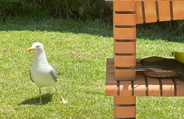 Villa Zen - beautiful private pool-heating option, hot tub, beautiful garden - Foto 15