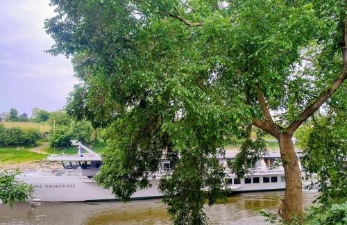 Le gite de l'ile du Buzet - Photo 13