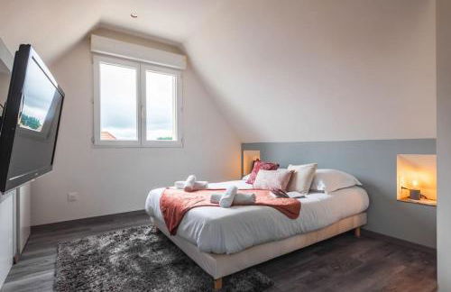 Nouveau - Le Patio - A 20 min de Europa Park - Navette - Photo 15