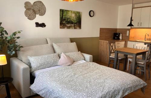 Ferienwohnungen Babo 6 - Photo 24