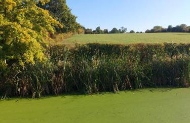 Chatterley House - Foto 63