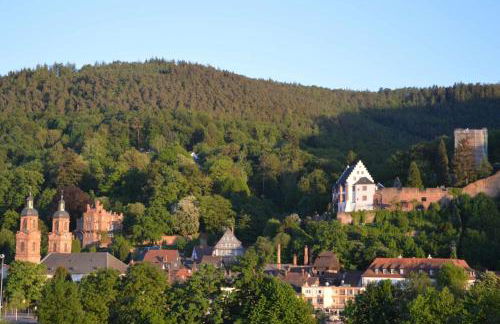 Panorama-Blick Miltenberg, 3 Pers., zentr., am Main, Terrasse, Bootverleih, P - Foto 22