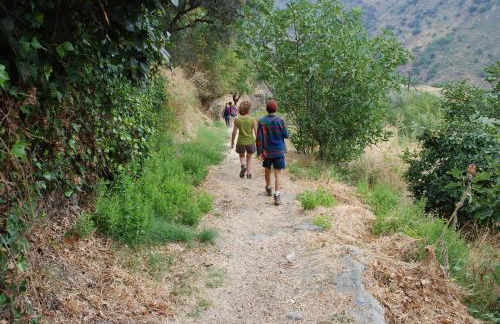 Cortijos Rey Fini - Foto 74