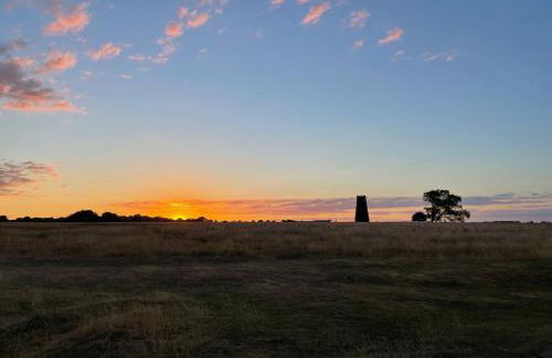 Arden on Albert - Photo 13