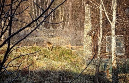 Domek na Wzgórzu - Foto 15