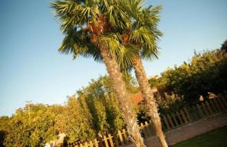 La Cabana - Photo 11