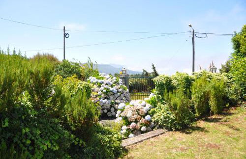 Luxury VILLA CAMÉLIA. Mountains, golf, horses, levada walks. - Foto 30