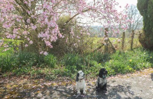 Dryslwyn Cottage - Foto 30