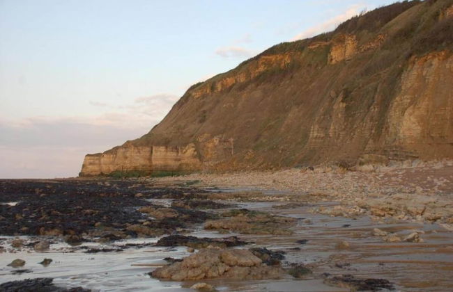 North Sea Family Haven - Foto 25