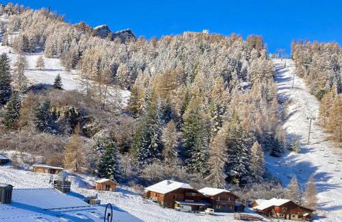 Chalet au coeur de la plagne - Foto 28