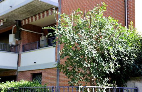 MIKY'S HOME - Photo 17