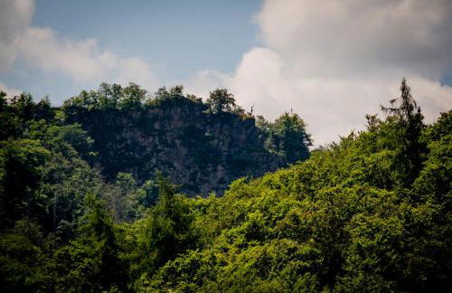 Harz Huus Apartments "Linde" - Foto 26