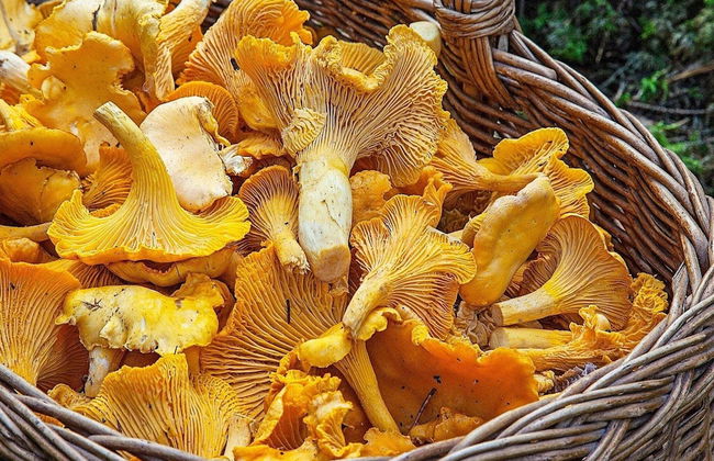 5 Person Holiday Home in Fjaras-by Traum - Foto 14