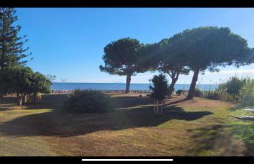 Appartement n 79 Moriani plage - Foto 61