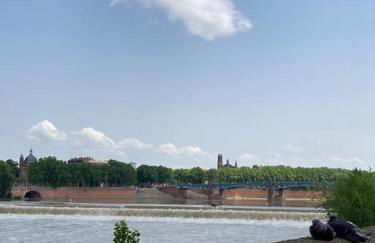 Charmant T2 dans Toulouse - Foto 2