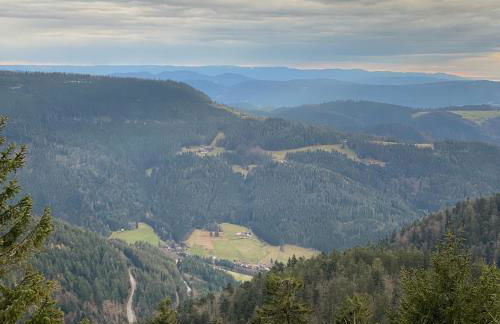 Schwarzwald Wohnung Kniebis - Foto 29