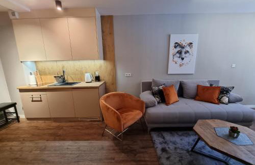 Apartament SPA 10 Resort Kozubnik blisko Szczyrk - 5D Apartments - Foto 10