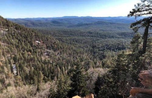 Forest Cabin 1 Hunters Blind - Photo 14