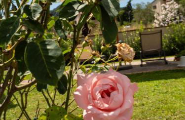 Villa Cattleya - Foto 12