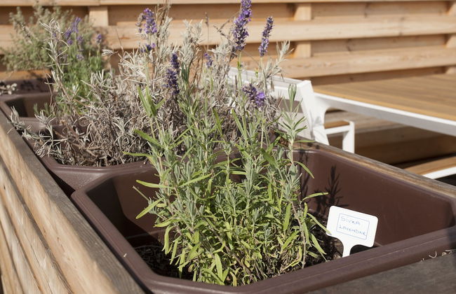 Family fun Pohorje - Foto 36