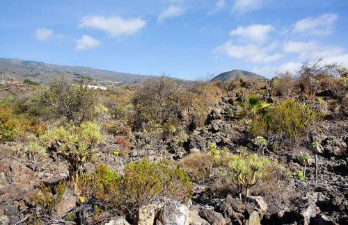 Minipiso Tejina de Isora - Foto 20