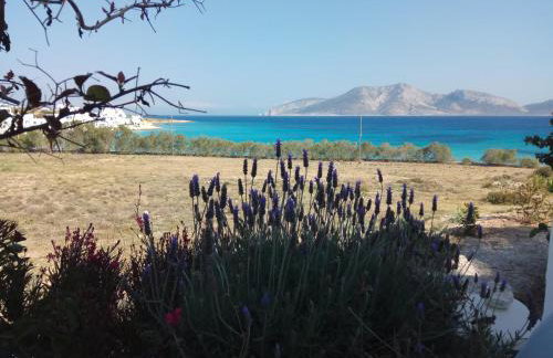 Ammos Studio - Foto 4