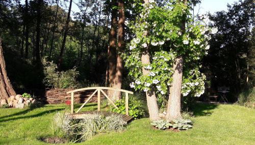 PERO - Foto 5, Garden