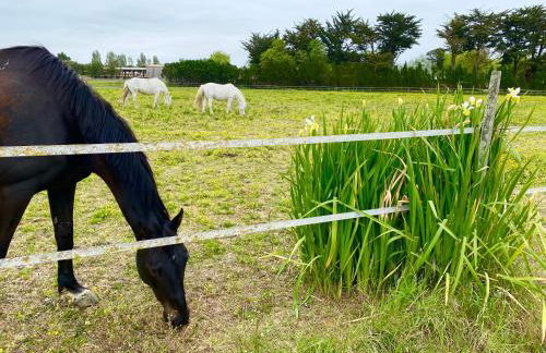 La Fleur des Marais - Maison tout confort au calme, grand jardin & balançoire - Foto 29