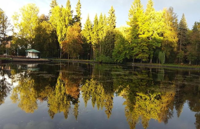 Bad Elster Apartment in Sohl - Foto 30