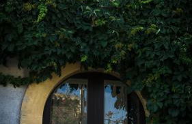 Tenuta del Gelso - Foto 57