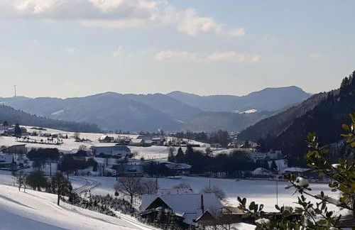 Ferienwohnung Ritter - Foto 14