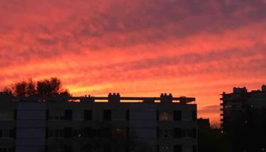 Bord de Loire - Île de Nantes (parking inclus) - Foto 5