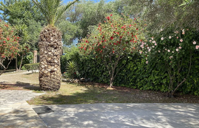 Alexander Apartments - Foto 58