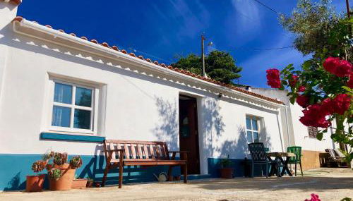 Casa Anneli - relaxing under the olive tree - Foto 2
