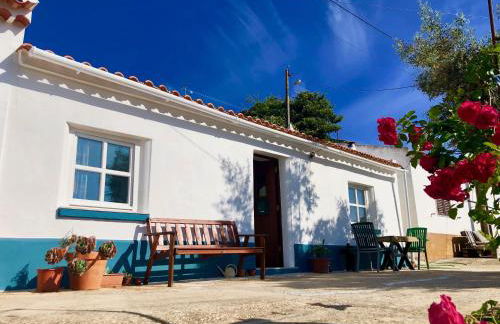 Casa Anneli - relaxing under the olive tree - Foto 2