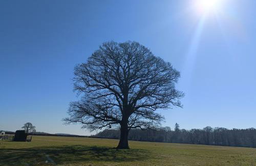 Keepers Retreat - Foto 54