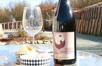 Cà d'Rita Monferrato - idromassaggio e piscina esterni - Foto 59