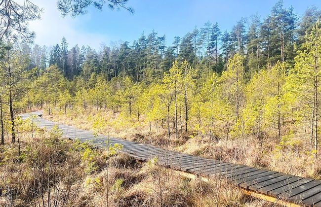 7 Person Holiday Home in Forsheda-by Traum - Foto 9